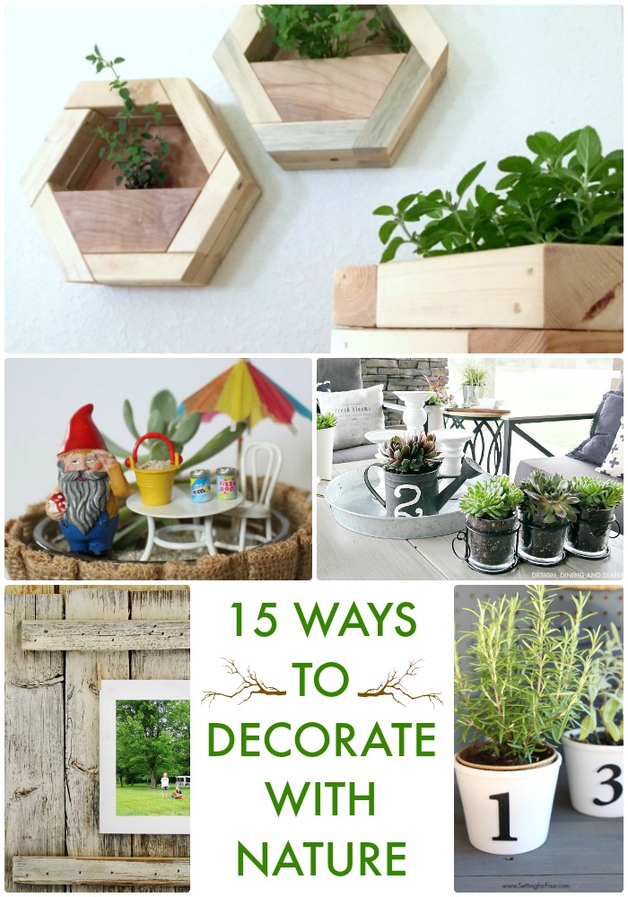 Great Ideas — 15 Ways to Decorate with Nature!