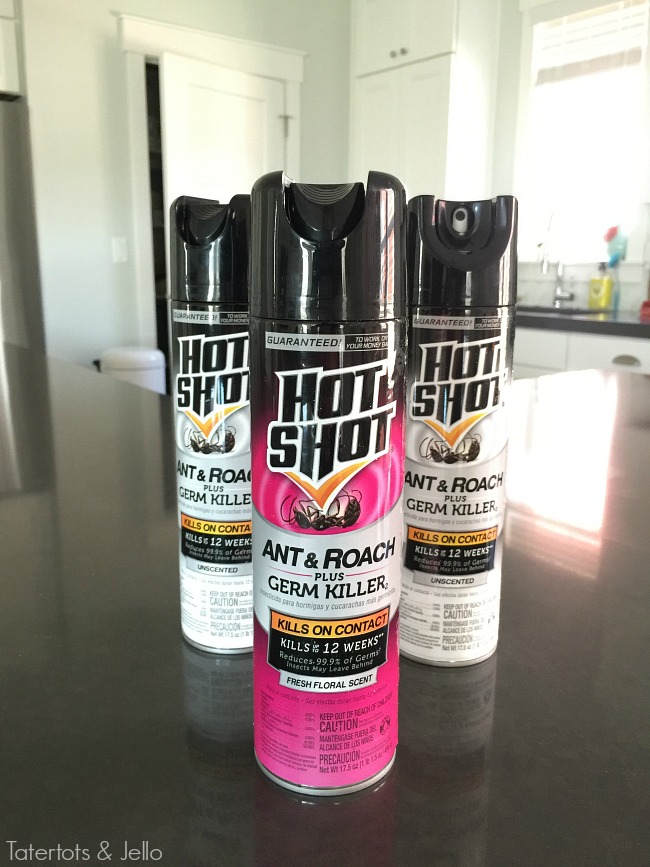 hot shot bug spray