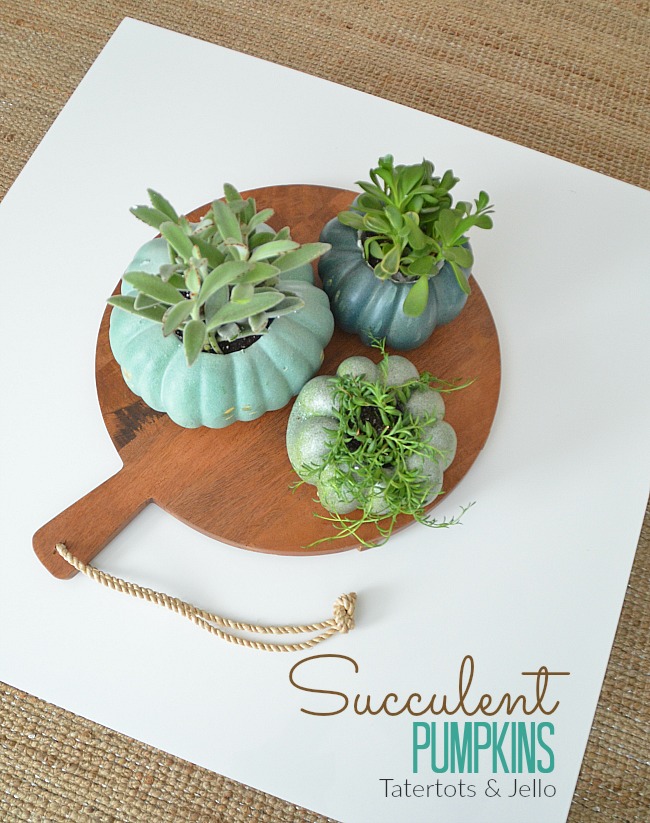 Pumpkin Succulent Planters DIY