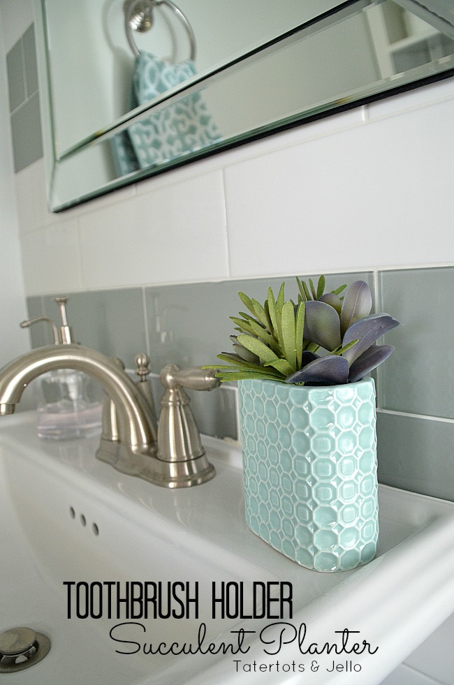 Turn a Toothbrush Holder into a Succulent Planter