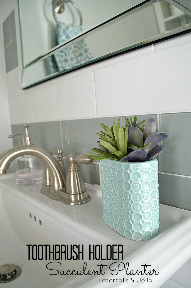 toothbrush holder succulent planter