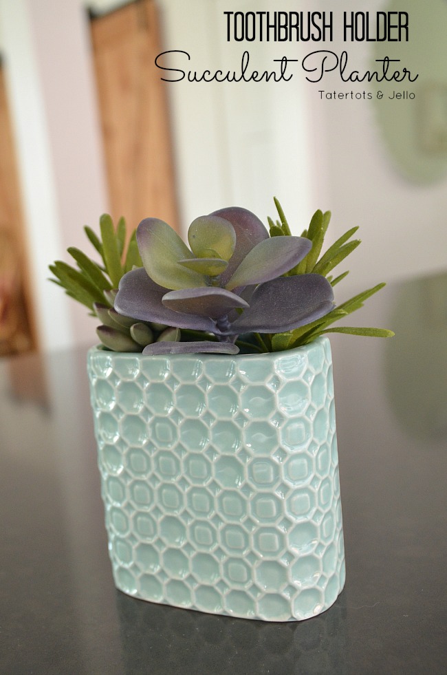 toothbrush holder succulent planter 