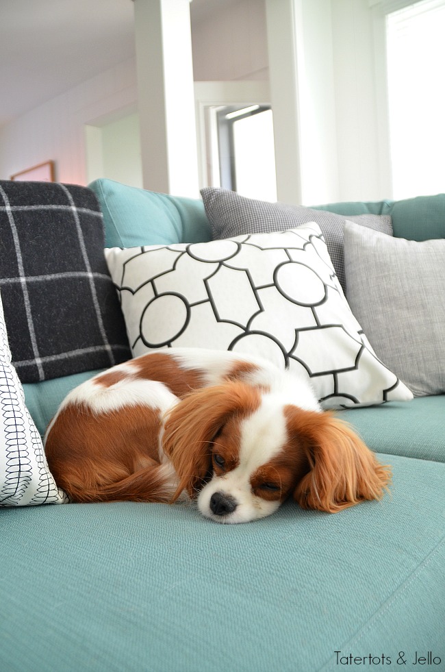 fall pillows with bright couch 