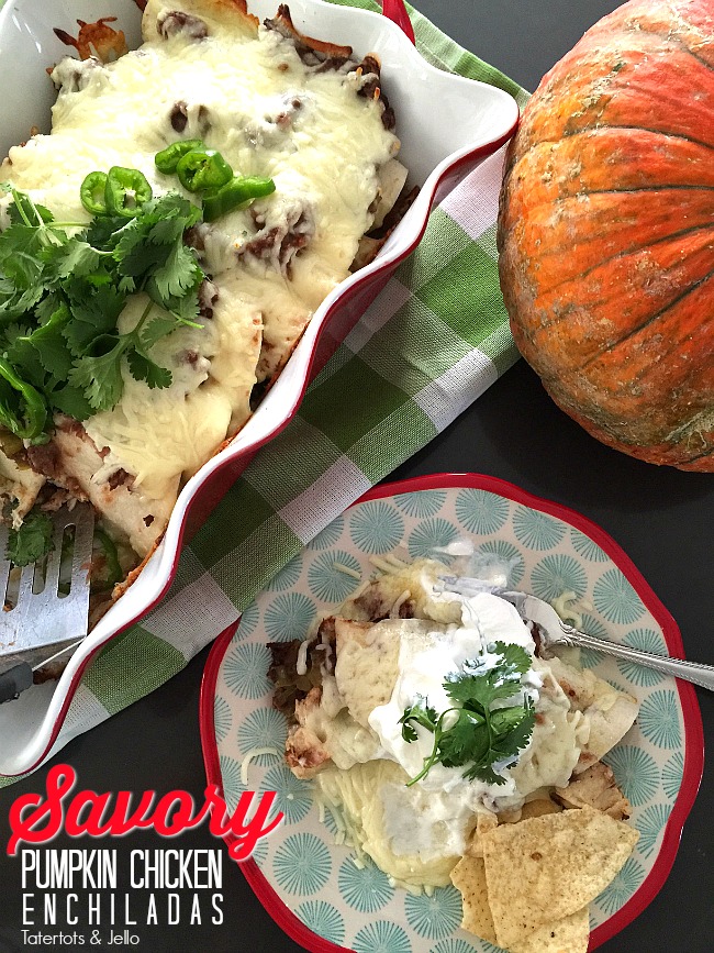 Savory Delicious Pumpkin Chicken Enchiladas