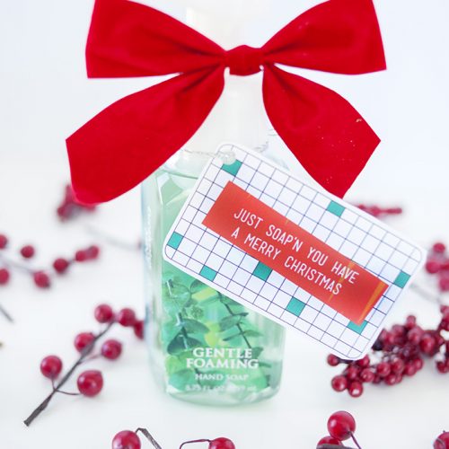 Free Christmas Printable Gift Tags and Soap Gift Idea! Add these fun tags to liquid soap for a fun holiday gift for anyone!