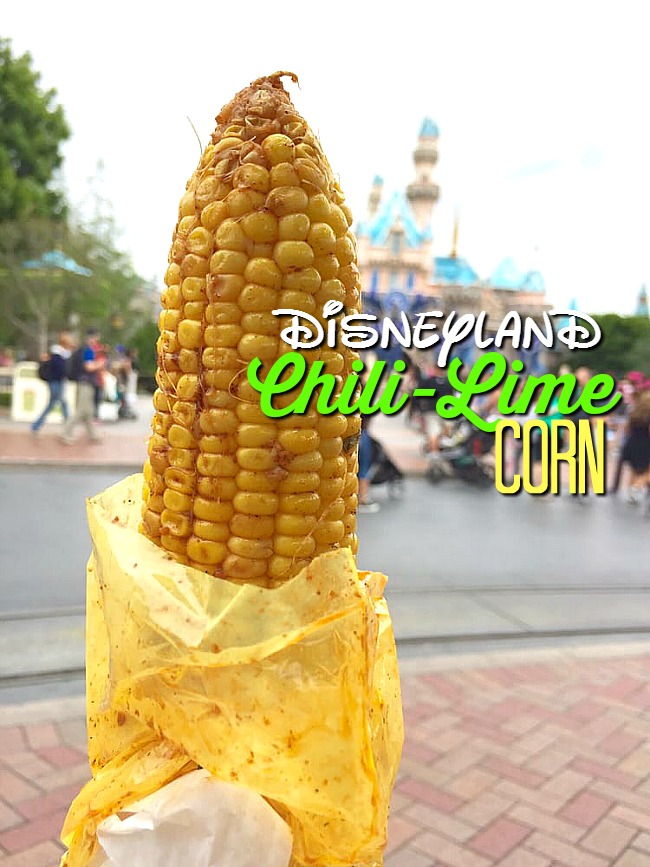 14 Amazing Disneyland Foods Here are 14 of our FAVORITE Disneyland foods you HAVE to try on your next trip!