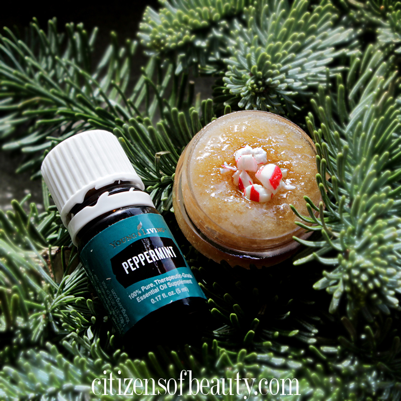 DIY Peppermint Lip Scrub Recipe and Gift Idea 