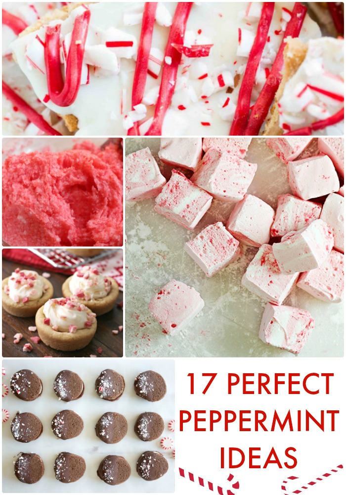 17-perfect-peppermint-ideas