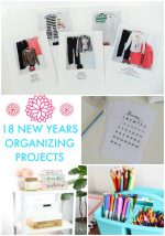Great Ideas — 18 New Years Organizing Projects!