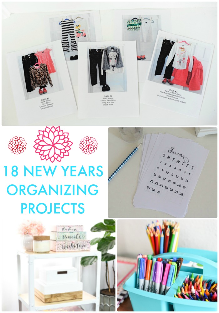 Great Ideas — 18 New Years Organizing Projects!