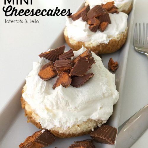 Pressure Cooker Mini Cheesecakes take only SIX minutes to cook and the mini size makes them perfect for individual servings. Wow your guests with these adorable cheesecakes!