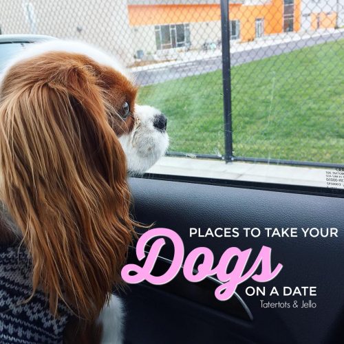 places to take your dog on a doggie date. Pet friendly restaurants.