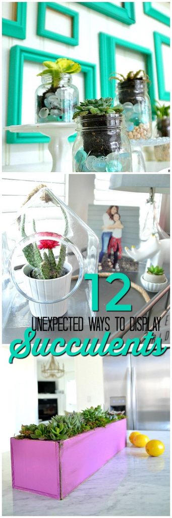 12 Unique Ways to Display Succulents