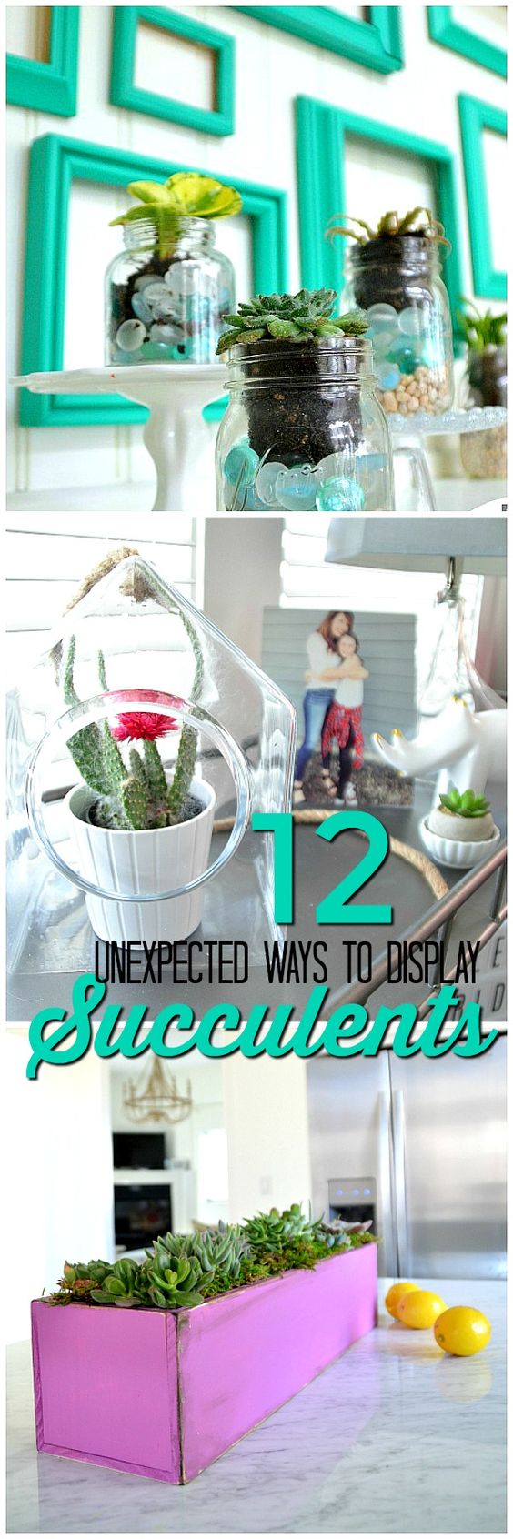 unique ways to display succulents. Succulents are beautiful to display in your home and there are so many ways to display them.