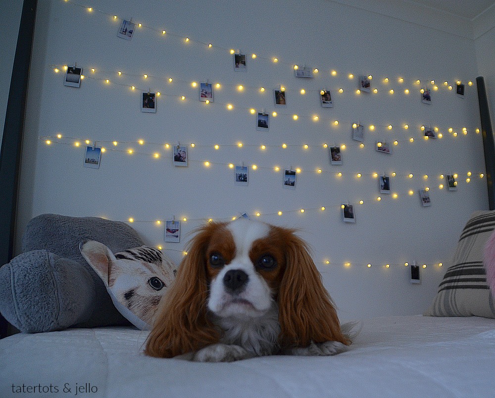 Tween/Teen Fairy Light Photo Wall