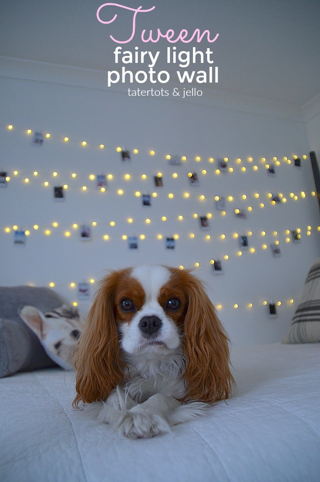 Tween/Teen Fairy Light Photo Wall