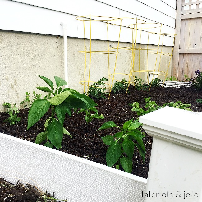 How to make a vinyl garden box in one morning without big tools. Have your hardware store make the big cuts and all you do is put it together. You just need a drill. 