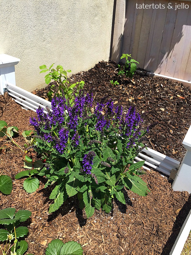 How to make a vinyl garden box in one morning without big tools. Have your hardware store make the big cuts and all you do is put it together. You just need a drill. 