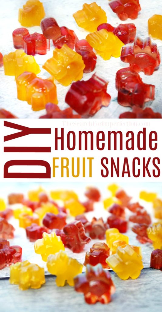 4 Ingredient DIY Fruit Snack Recipe