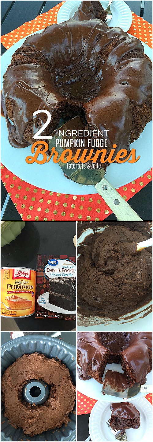 2 Ingredient Gooey Pumpkin Fudge Brownies