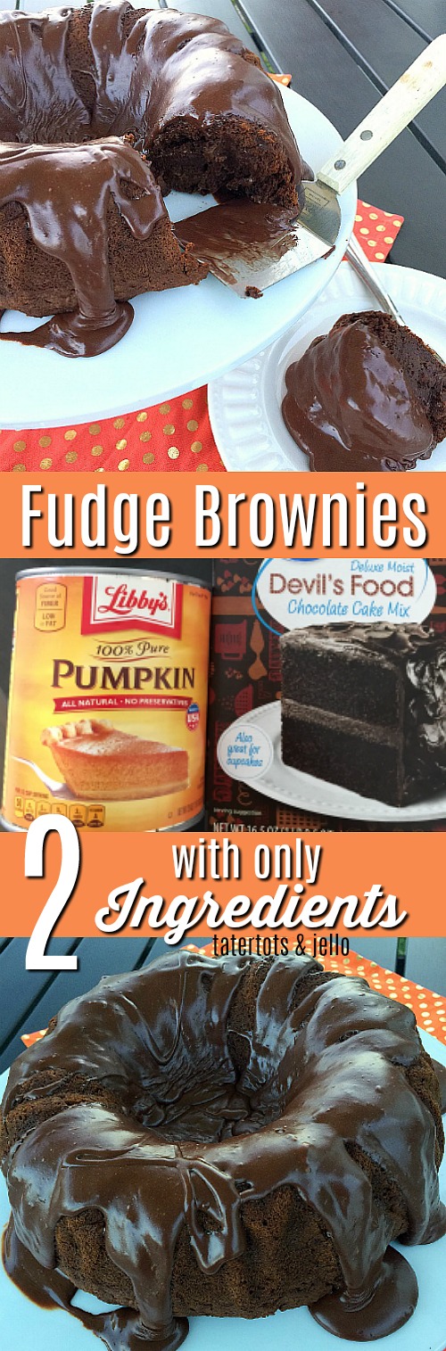 gooey fudge brownies with only 2 ingredients 