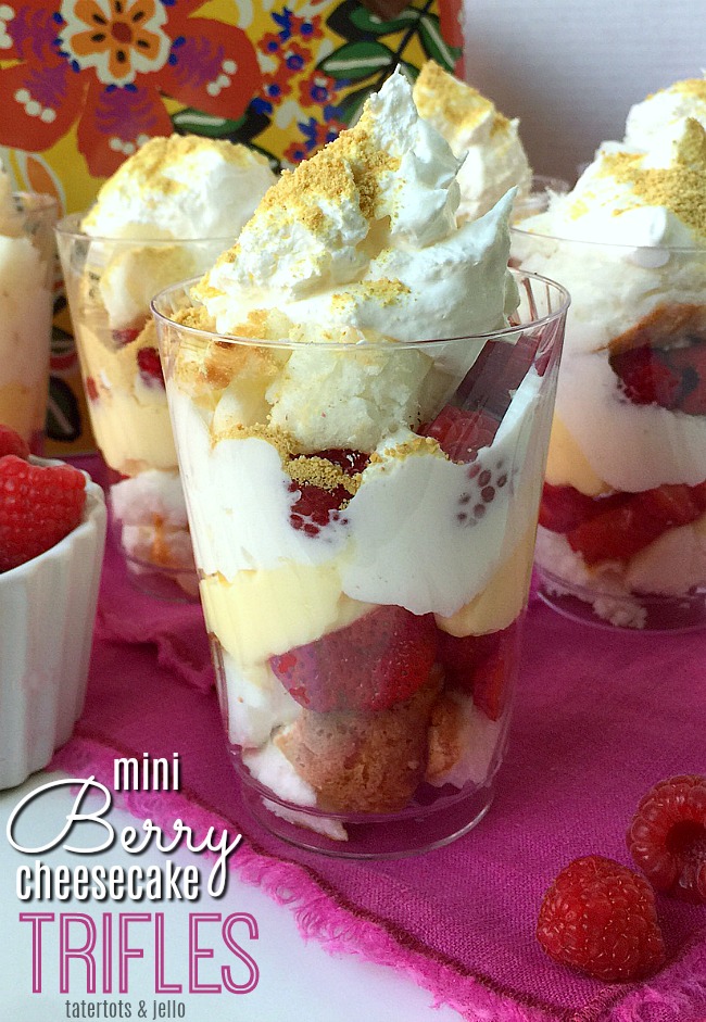 Mini Berry Cheesecake Trifles are the perfect dessert to take on a picnic. You can make them up ahead of time in clear plastic cups and then use a lid or press and seal saran wrap to keep fresh in your picnic basket. 