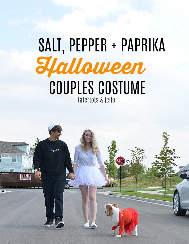 Salt, Pepper, Paprika Couples Costume + Dog! Create a costume for you and your special someone PLUS your pet! All the DIY instructions! 