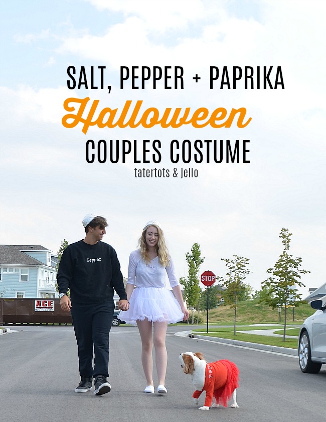 Halloween DIY Couples Costumes for You and Your Pet