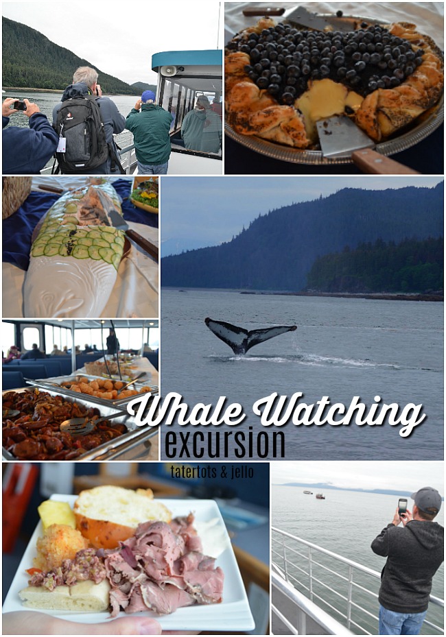 Princess Alaskan Cruise - what to do off the ship. Shore excursions are a wonderful way to explore Alaska! 