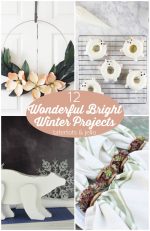 Great Ideas — 12 Wonderful Bright Winter Projects!