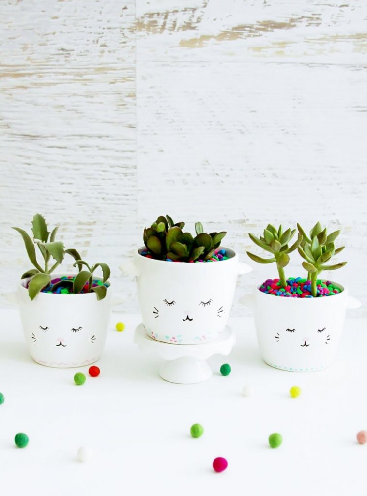 sleepy kitty planters diy 