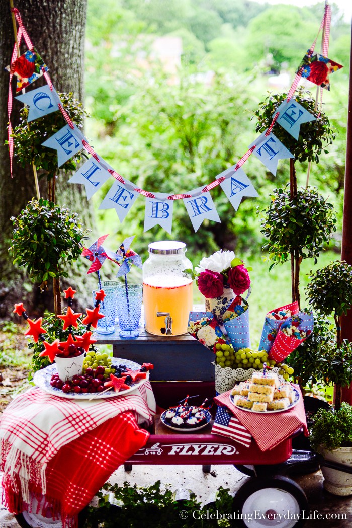 12 RED WHITE and BLUE Fourth of July Ideas