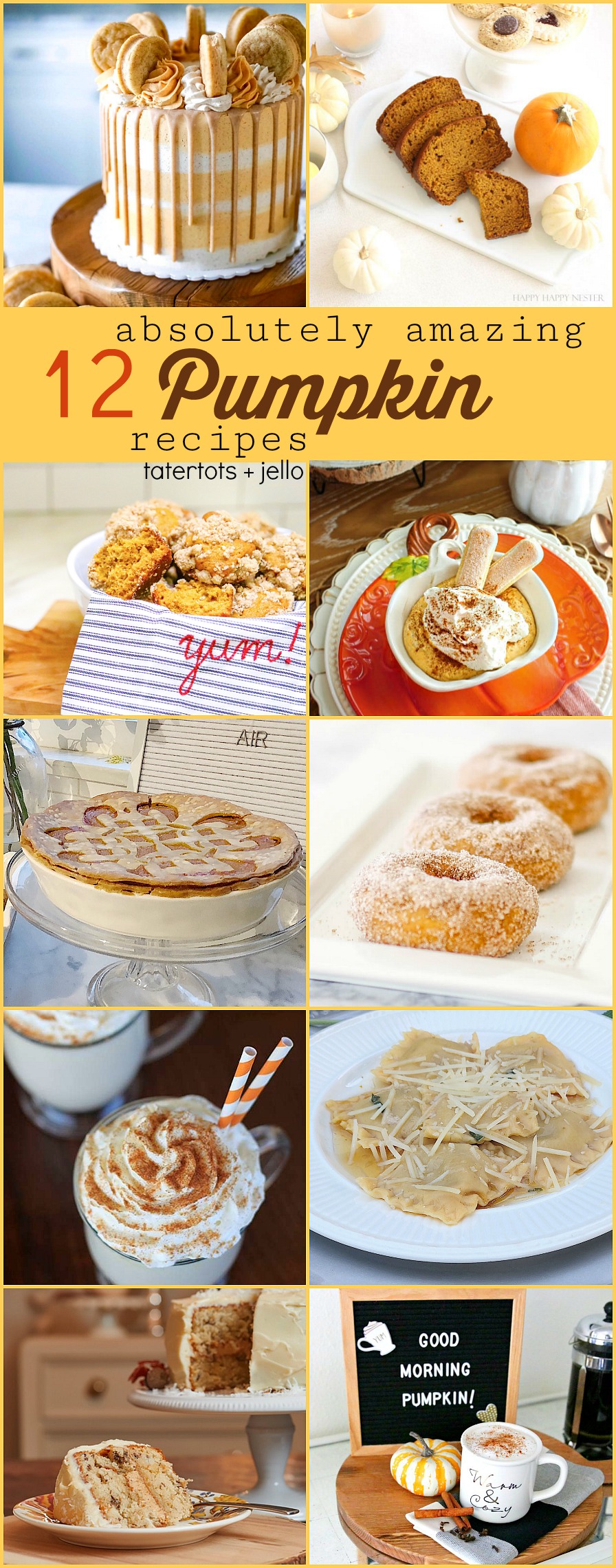 12 Absolutely Amazing Pumpkin Recipes. All of the BEST Pumpkin recipes all in one spot! Check out these pumpkin recipes and make something special to celebrate FALL! 