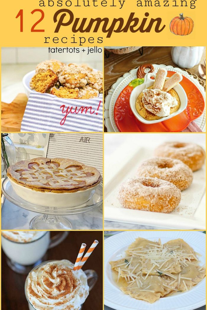 12 Absolutely AMAZING Pumpkin Recipes!