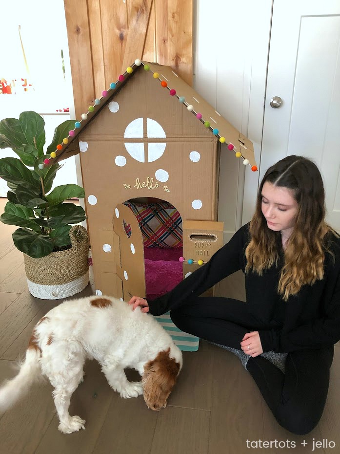 Make an Adorable DIY Dog Playhouse Out of a Box! Use your imagination and create a sweet playhouse for your dog with a cardboard box! 