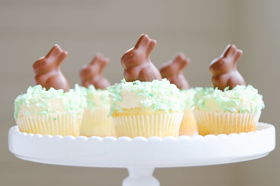 Chocolate Bunny Cupcakes 