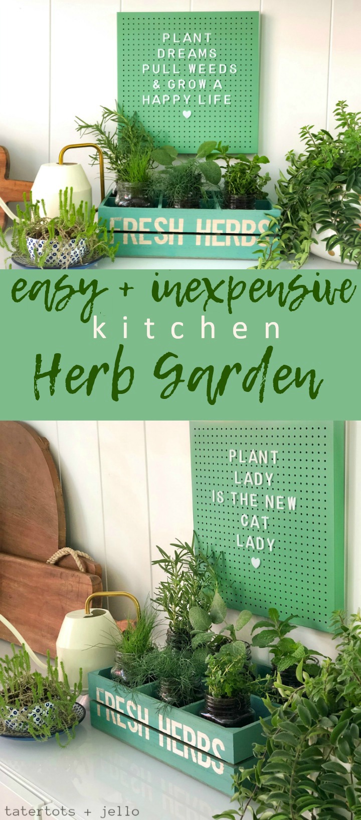 Create an easy and inexpensive kitchen herb garden with dollar spot items!