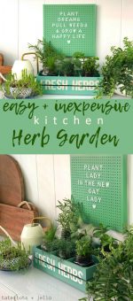 Inexpensive and Easy Kitchen Herb Garden DIY