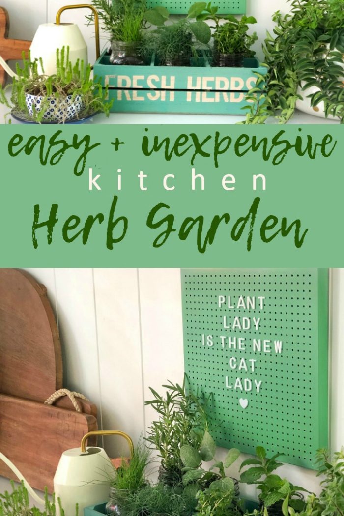 Inexpensive and Easy Kitchen Herb Garden DIY