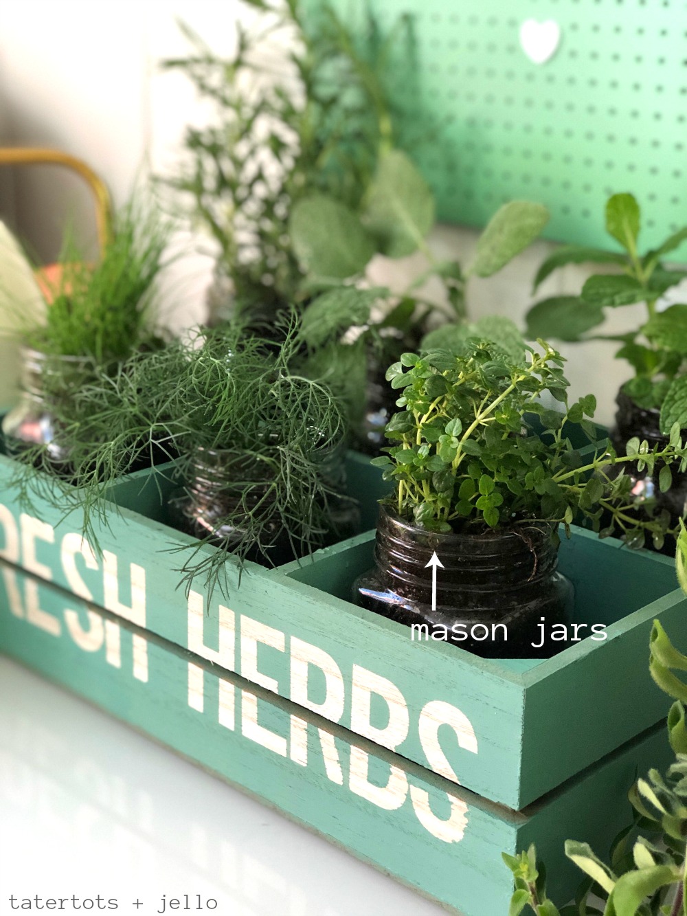 Inexpensive and Easy Kitchen Herb Garden DIY. Grab a few dollar section items and create a kitchen herb garden that you can enjoy all year long! 