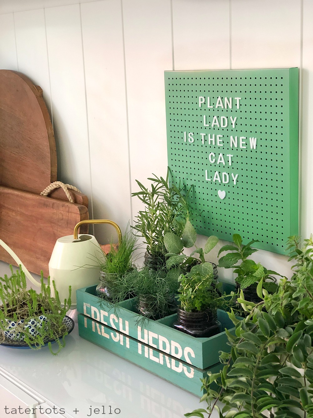 Inexpensive and Easy Kitchen Herb Garden DIY. Grab a few dollar section items and create a kitchen herb garden that you can enjoy all year long! 