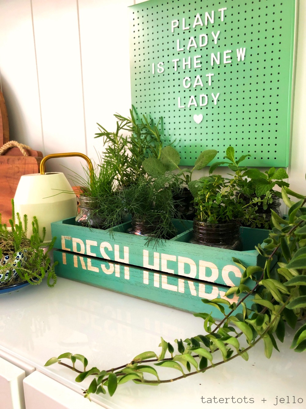 Inexpensive and Easy Kitchen Herb Garden DIY. Grab a few dollar section items and create a kitchen herb garden that you can enjoy all year long! 