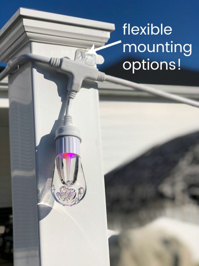 Add Color to Your Outdoor Space with ColorChanging Lights!