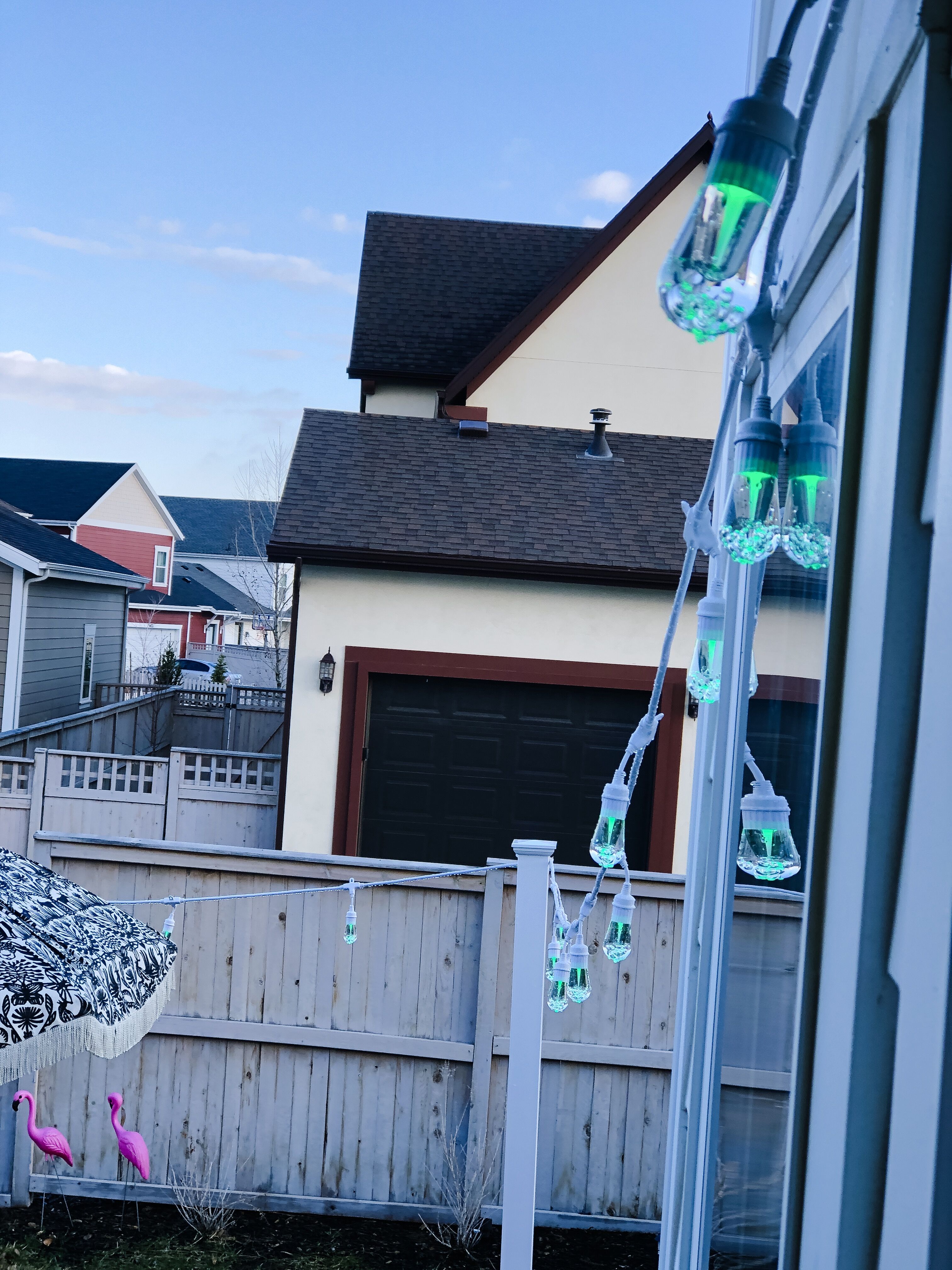 Add Color to Your Outdoor Space with ColorChanging Lights!