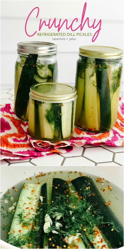 Make crunchy, spicy dill pickles in your home. It just takes a few ingredients and you can switch the recipe up to make all kinds of different flavored pickles. Never buy store-bought pickles again! 
