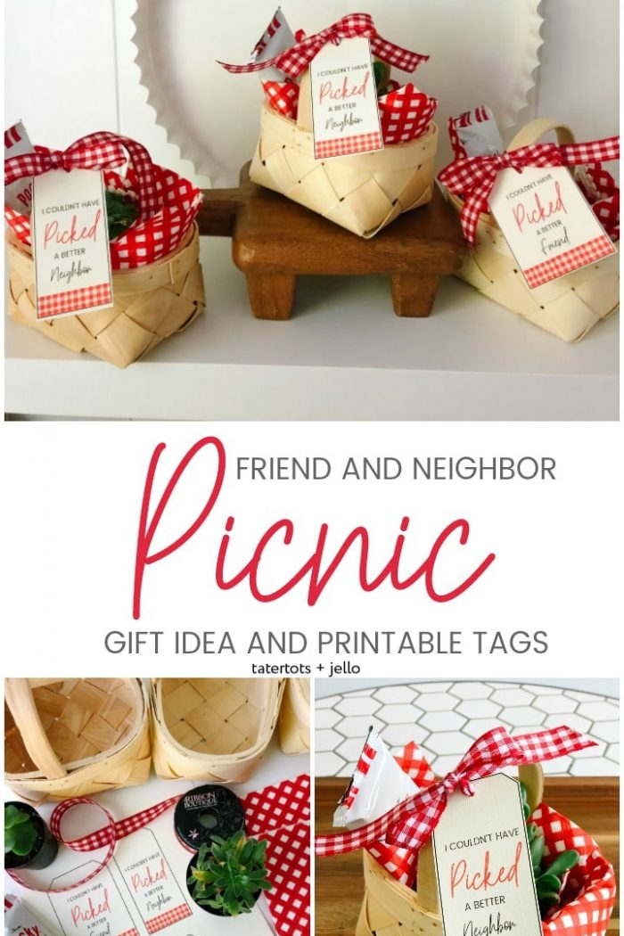 Picnic Friend and Neighbor Gift Idea, Printables and Protect My Squad Contest