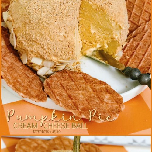Pumpkin Pie Sweet Cream Cheese Ball is the perfect fall dessert!