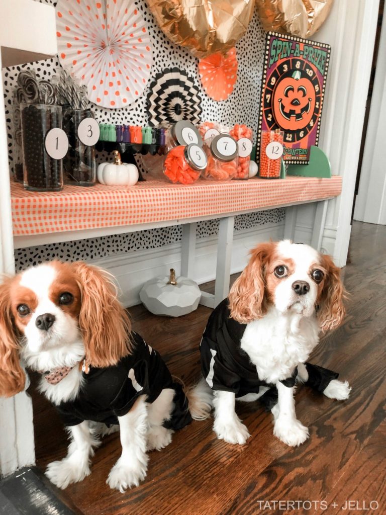 Halloween Trick-or-Treat Candy Station Game with Free Printables. Create a colorful candy station with a game and free printables. perfect for trick-or-treaters or to play at a Halloween party! 