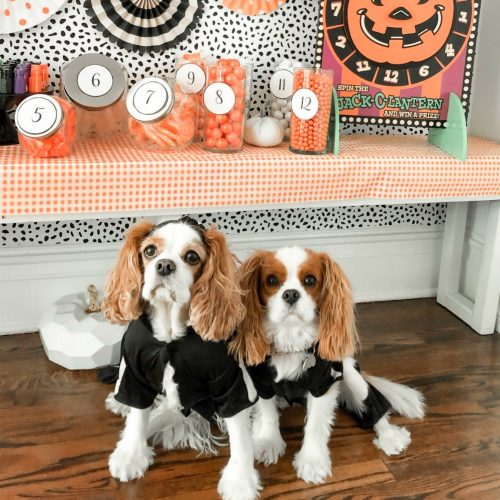 Halloween Trick-or-Treat Candy Station Game with Free Printables. Create a colorful candy station with a game and free printables. perfect for trick-or-treaters or to play at a Halloween party!