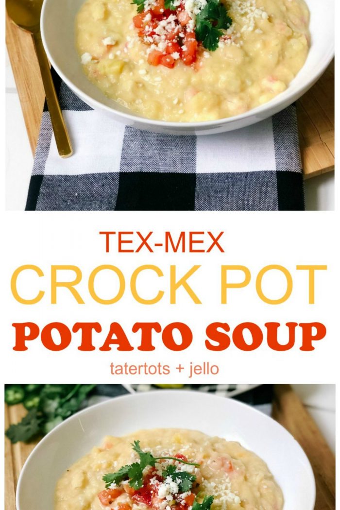 Tex-Mex Cheesy Potato Crock Pot Soup